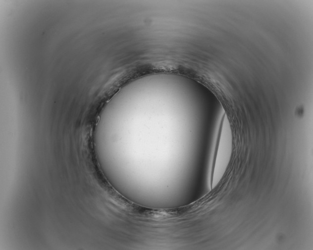 X0000091300229200708101055