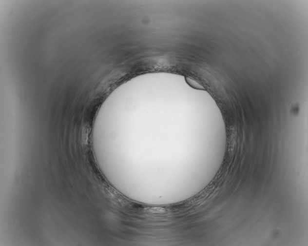 X0000091300230200708101055