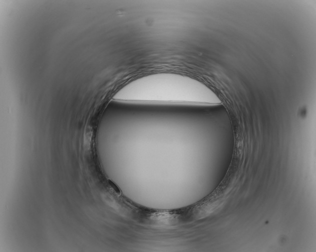 X0000091300231200708101055