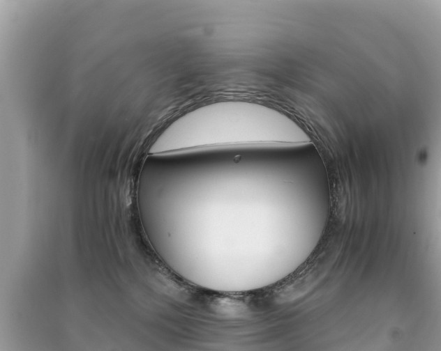 X0000091300232200708101055