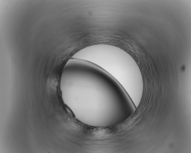 X0000091300235200708101055