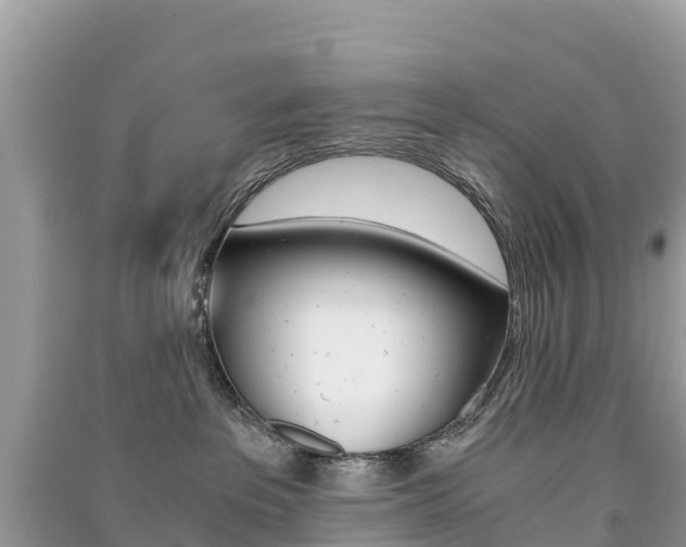 X0000091300237200708101055