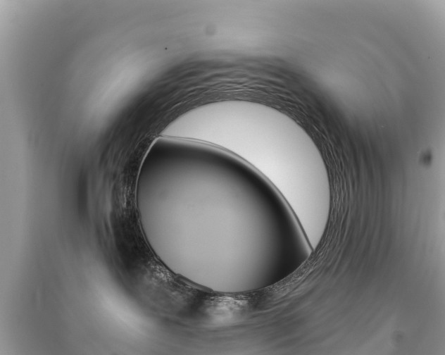 X0000091300239200708101055
