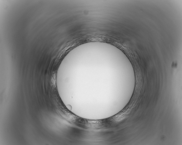 X0000091300240200708101055