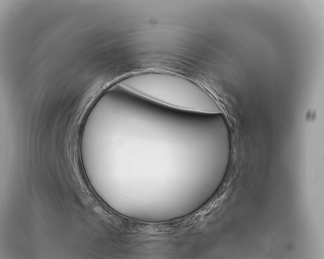 X0000091300241200708101054