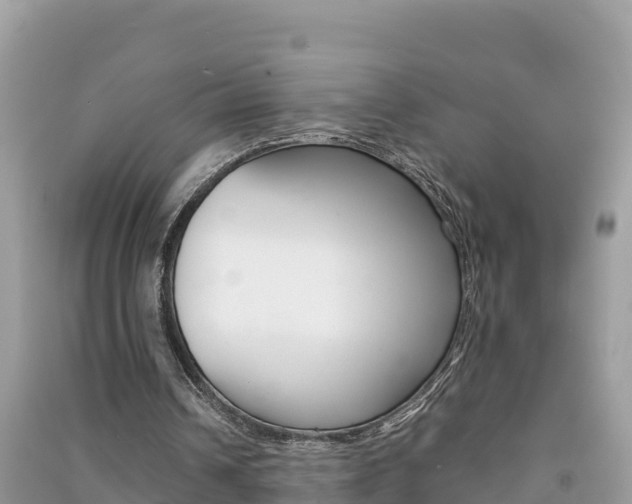X0000091300242200708101054