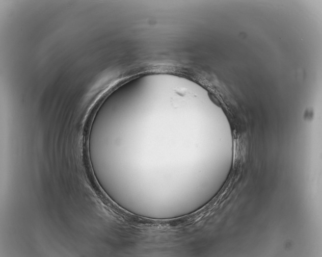 X0000091300243200708101054