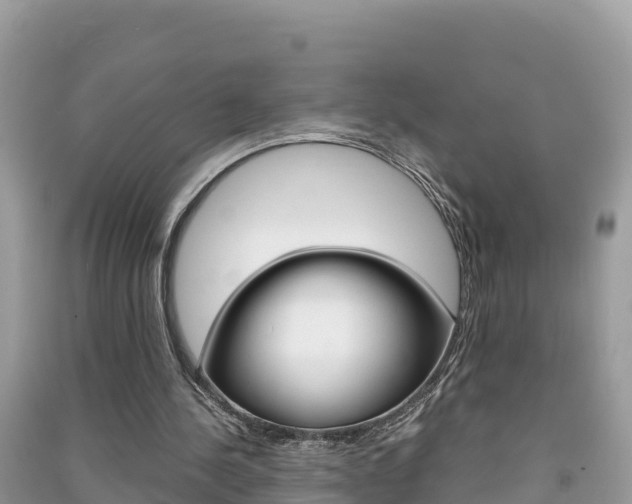 X0000091300244200708101054