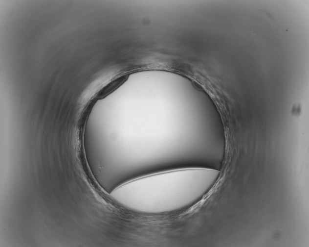 X0000091300245200708101054