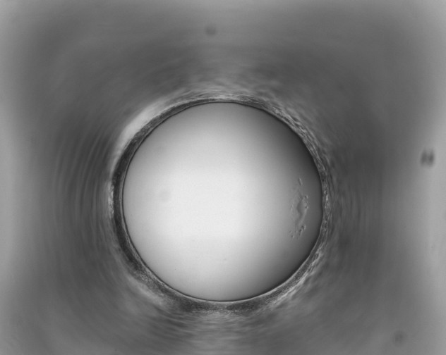 X0000091300246200708101054