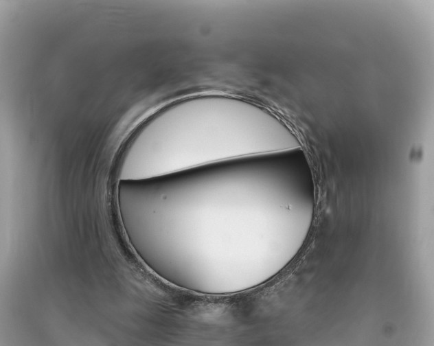 X0000091300247200708101054