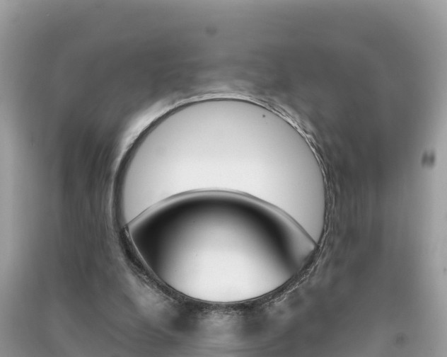 X0000091300248200708101054
