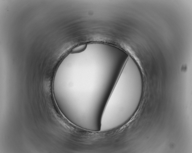 X0000091300249200708101054