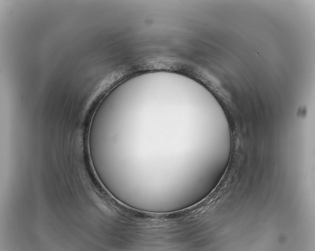 X0000091300250200708101054