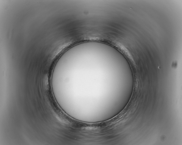 X0000091300251200708101054