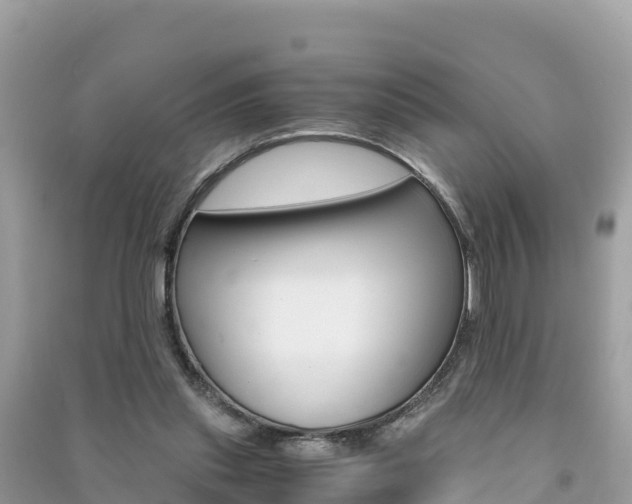 X0000091300253200708101054