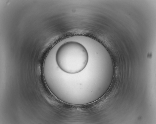 X0000091300254200708101054