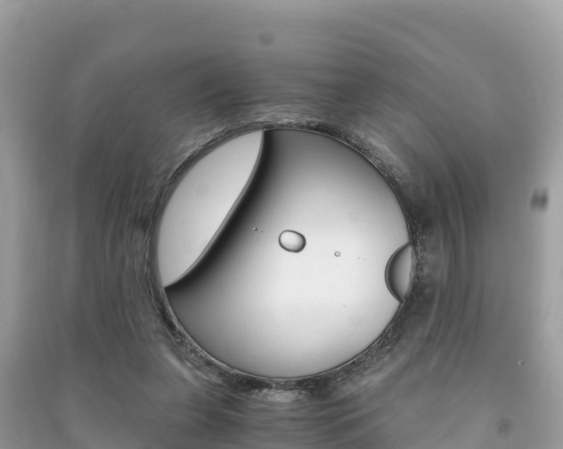 X0000091300255200708101054