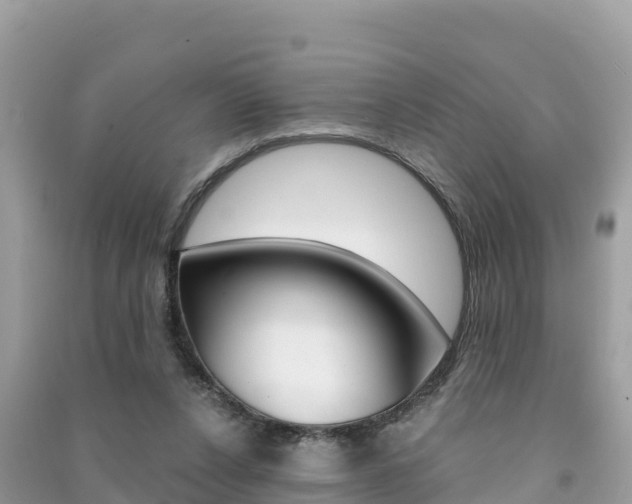 X0000091300256200708101054