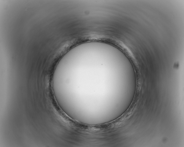X0000091300257200708101054