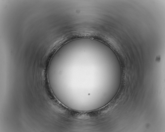 X0000091300258200708101054