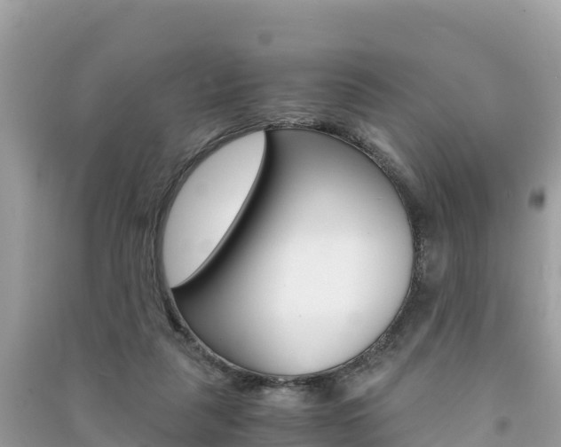 X0000091300259200708101054