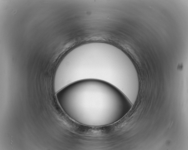 X0000091300260200708101054