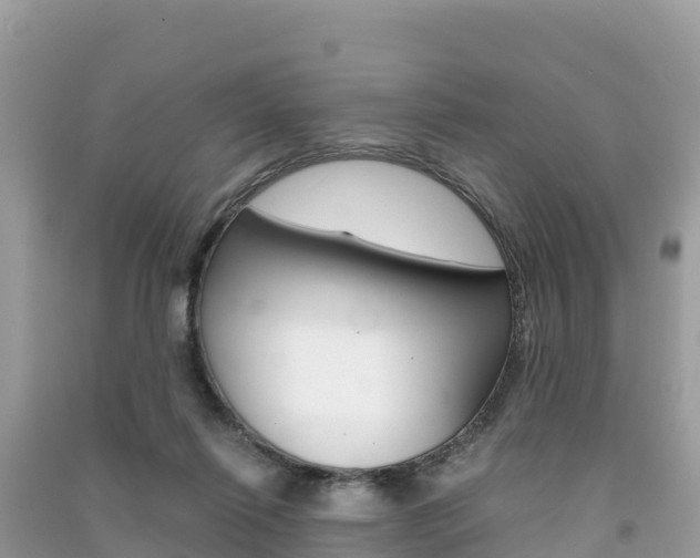 X0000091300262200708101054