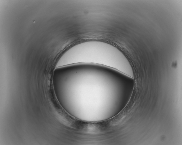 X0000091300264200708101054