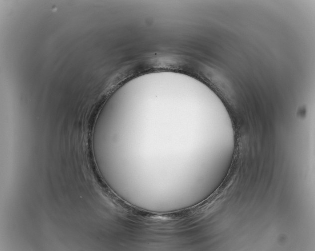 X0000091300265200708101054