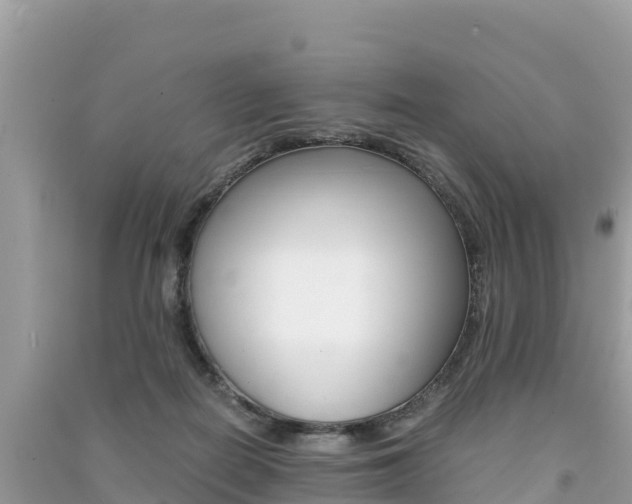 X0000091300266200708101054