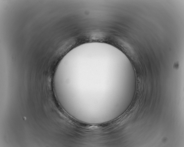 X0000091300269200708101054