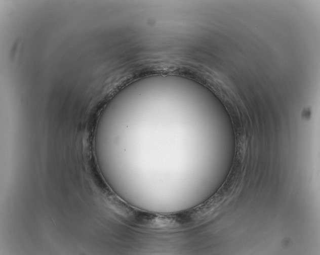 X0000091300270200708101054