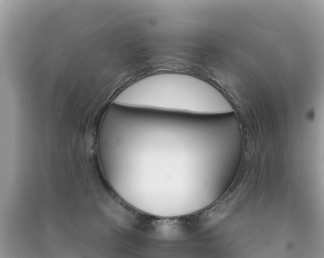 X0000091300273200708101054
