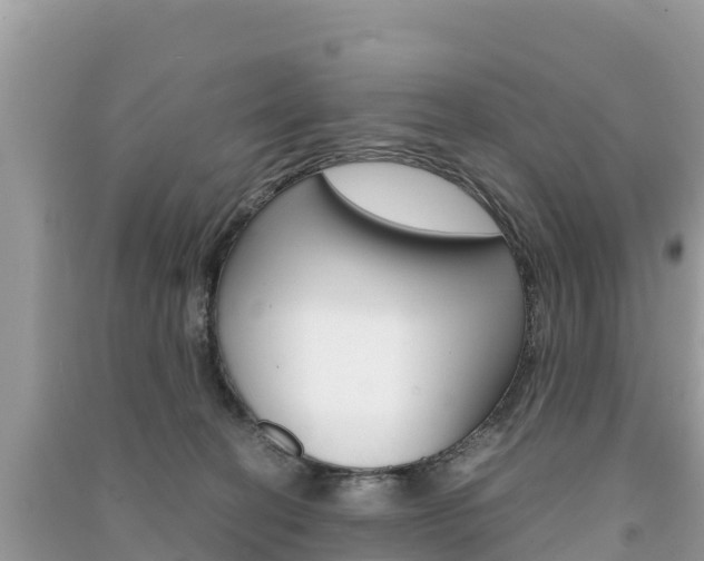 X0000091300274200708101054