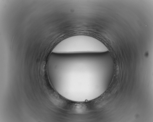 X0000091300275200708101054