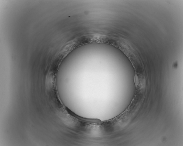 X0000091300276200708101054