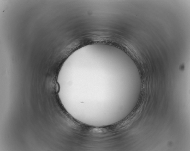 X0000091300277200708101054