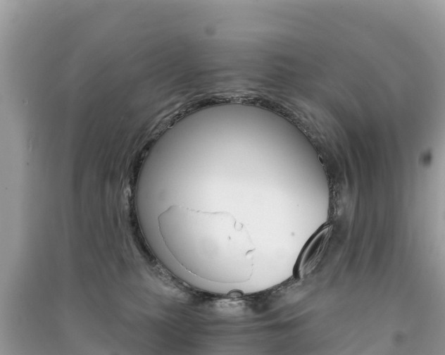 X0000091300279200708101054