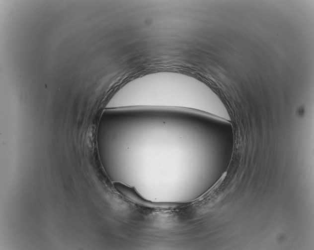 X0000091300280200708101054