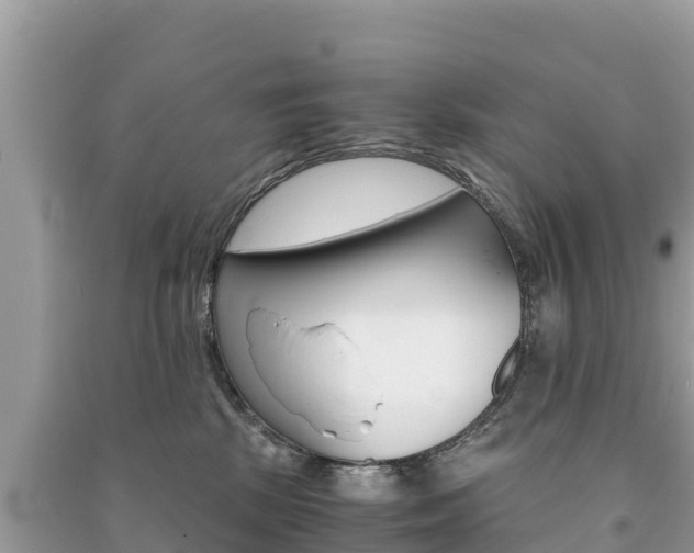 X0000091300281200708101054