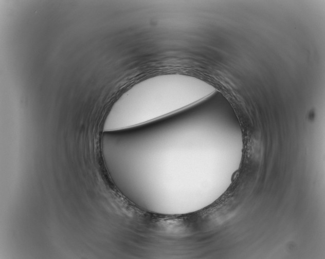 X0000091300283200708101055