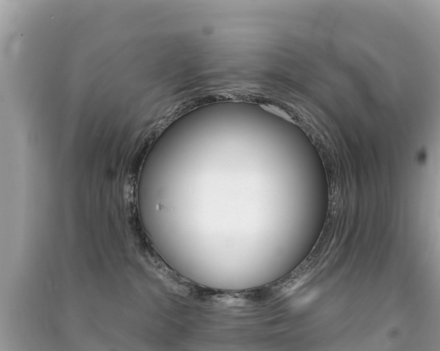 X0000091300284200708101055