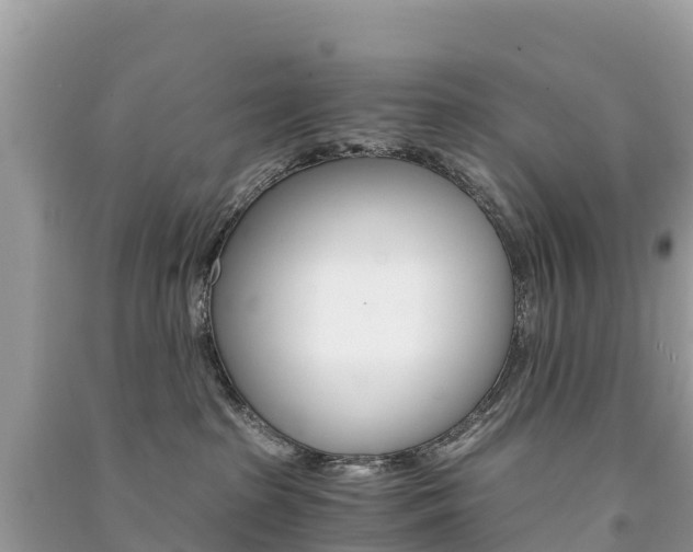 X0000091300285200708101055