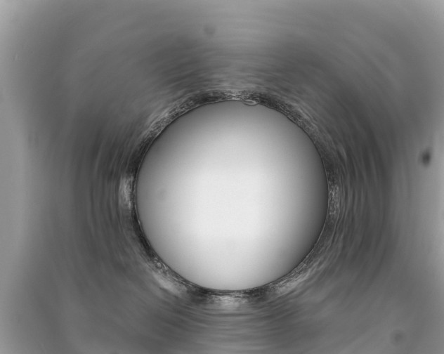 X0000091300286200708101055