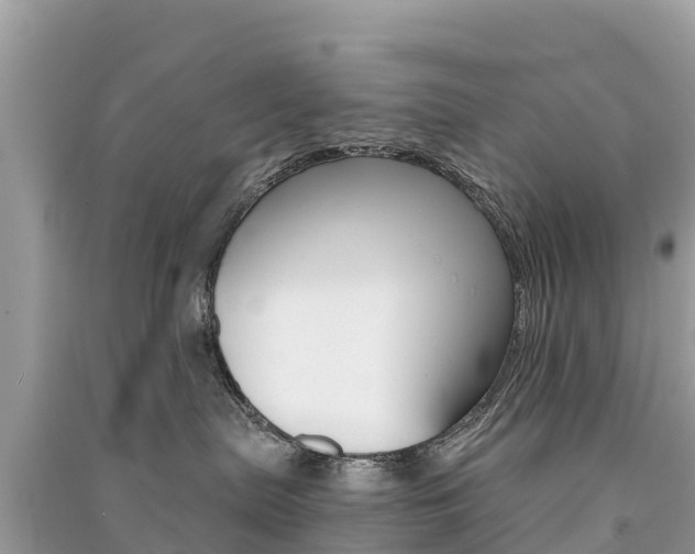 X0000091300287200708101055
