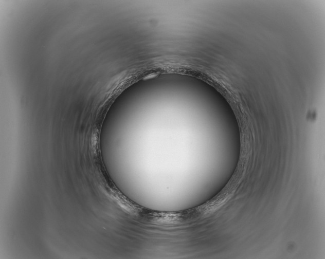 X0000091300288200708101055