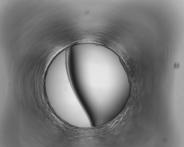 X0000091300289200708101054