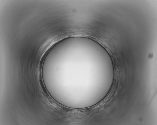 X0000091300290200708101054