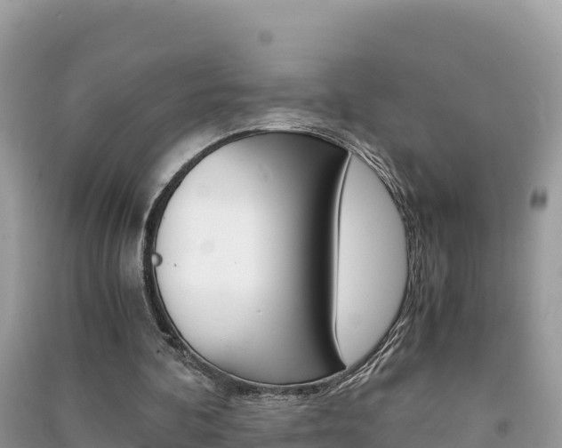 X0000091300292200708101054